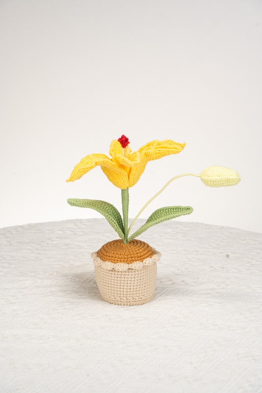 yellow lily