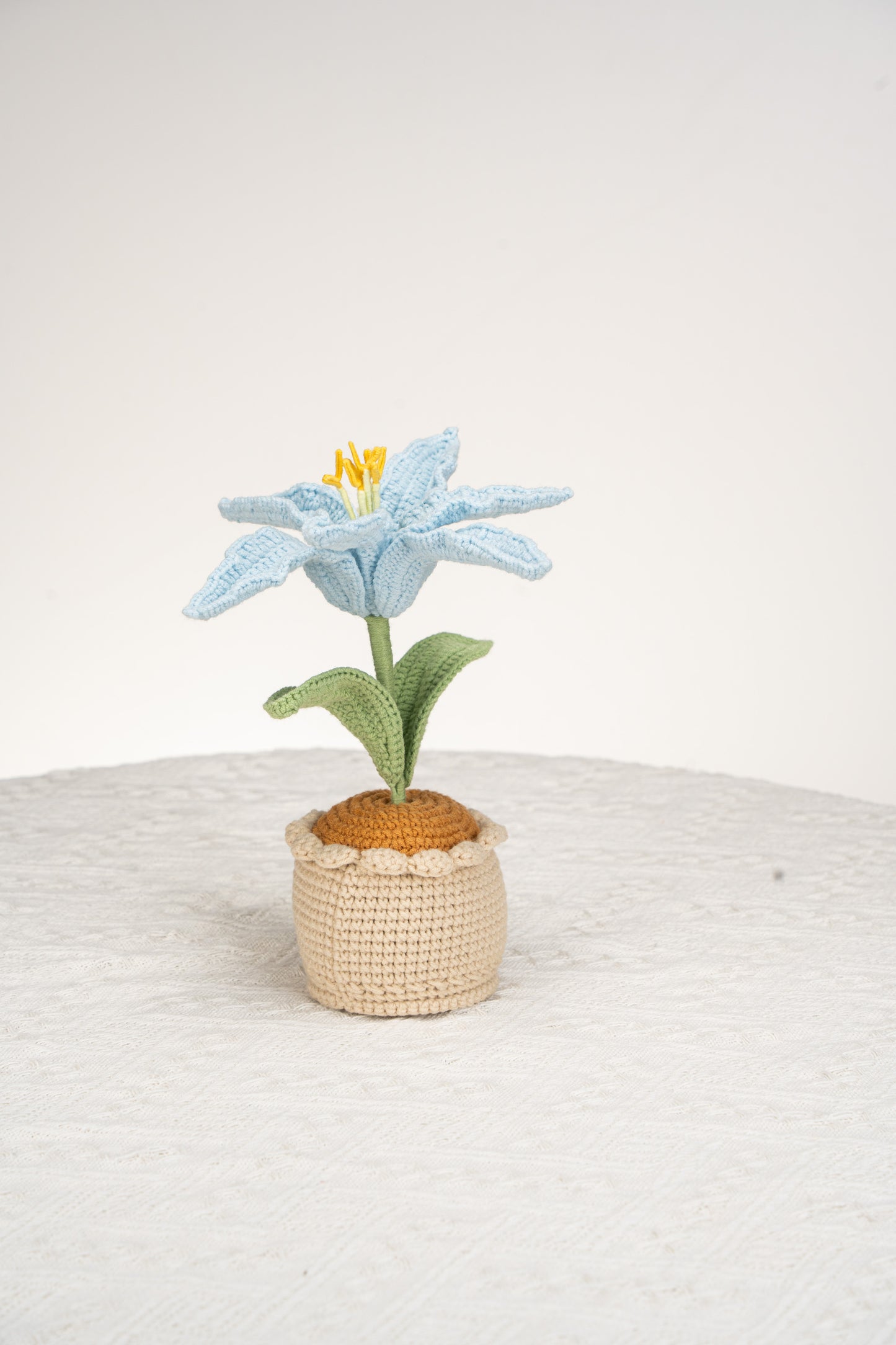 blue lily