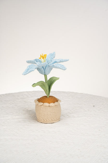 blue lily