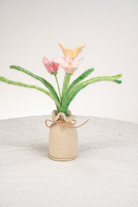 pink orchid