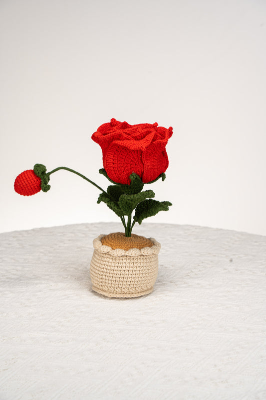 red Thai rose