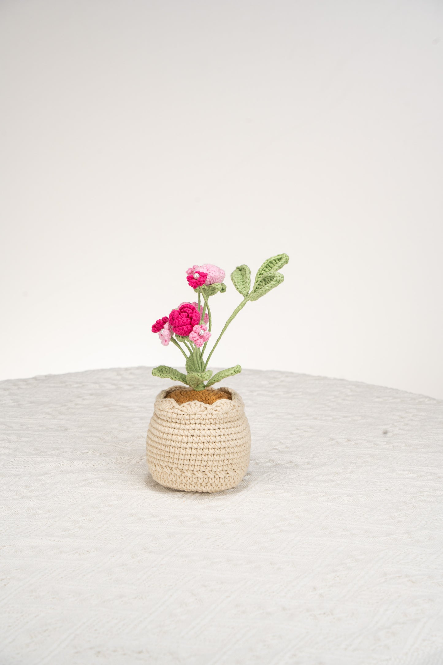 pink rose and baby's breath