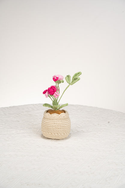 pink rose and baby's breath