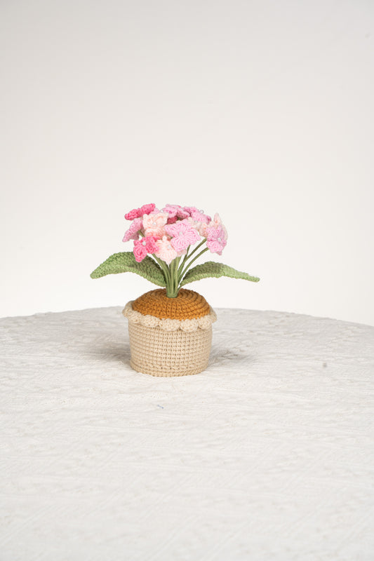 pink Hydrangea