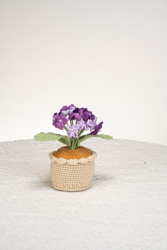 purple Hydrangea
