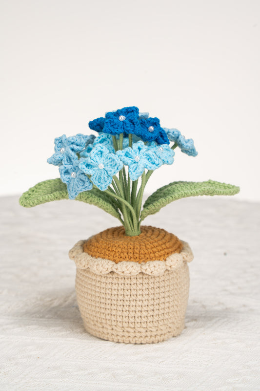 Blue Hydrangea