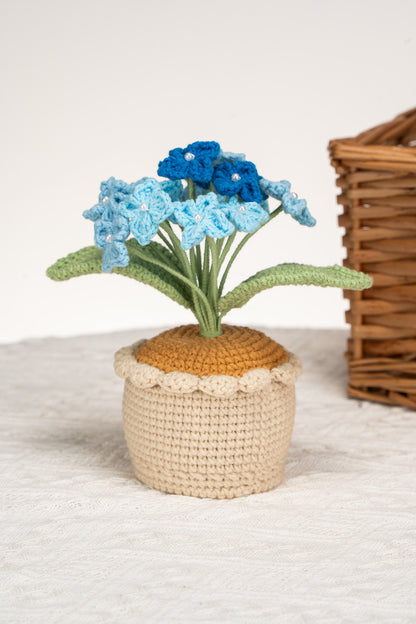 Blue Hydrangea