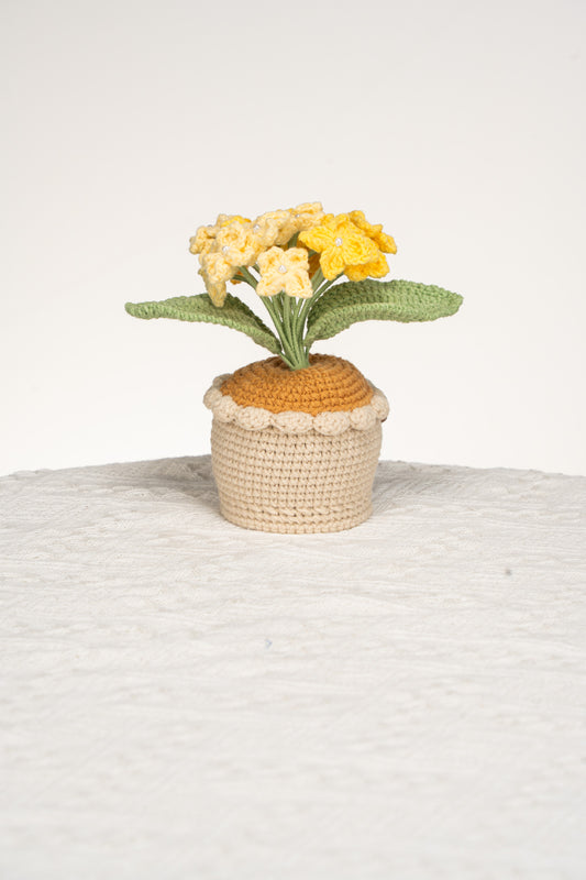 yellow Hydrangea