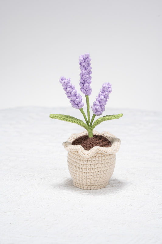 lavender