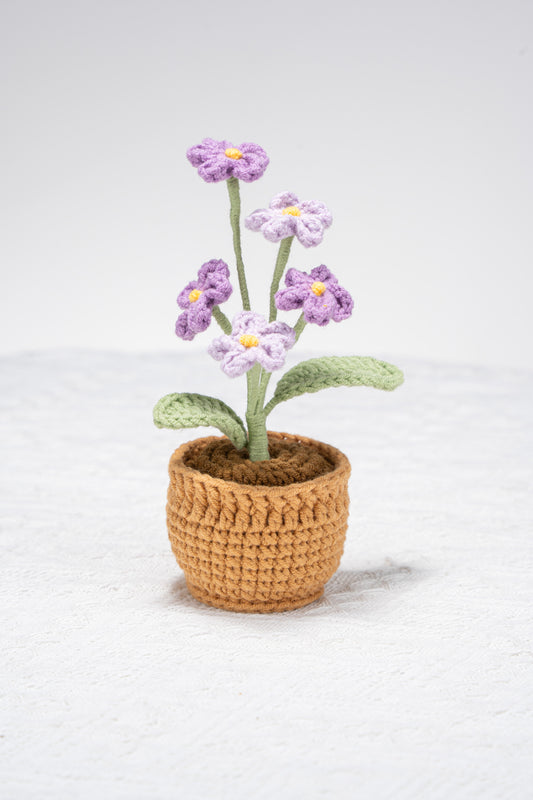forget me not