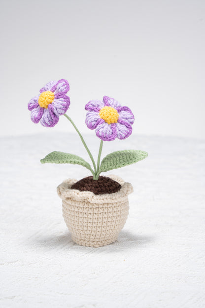 purple daisy with lace