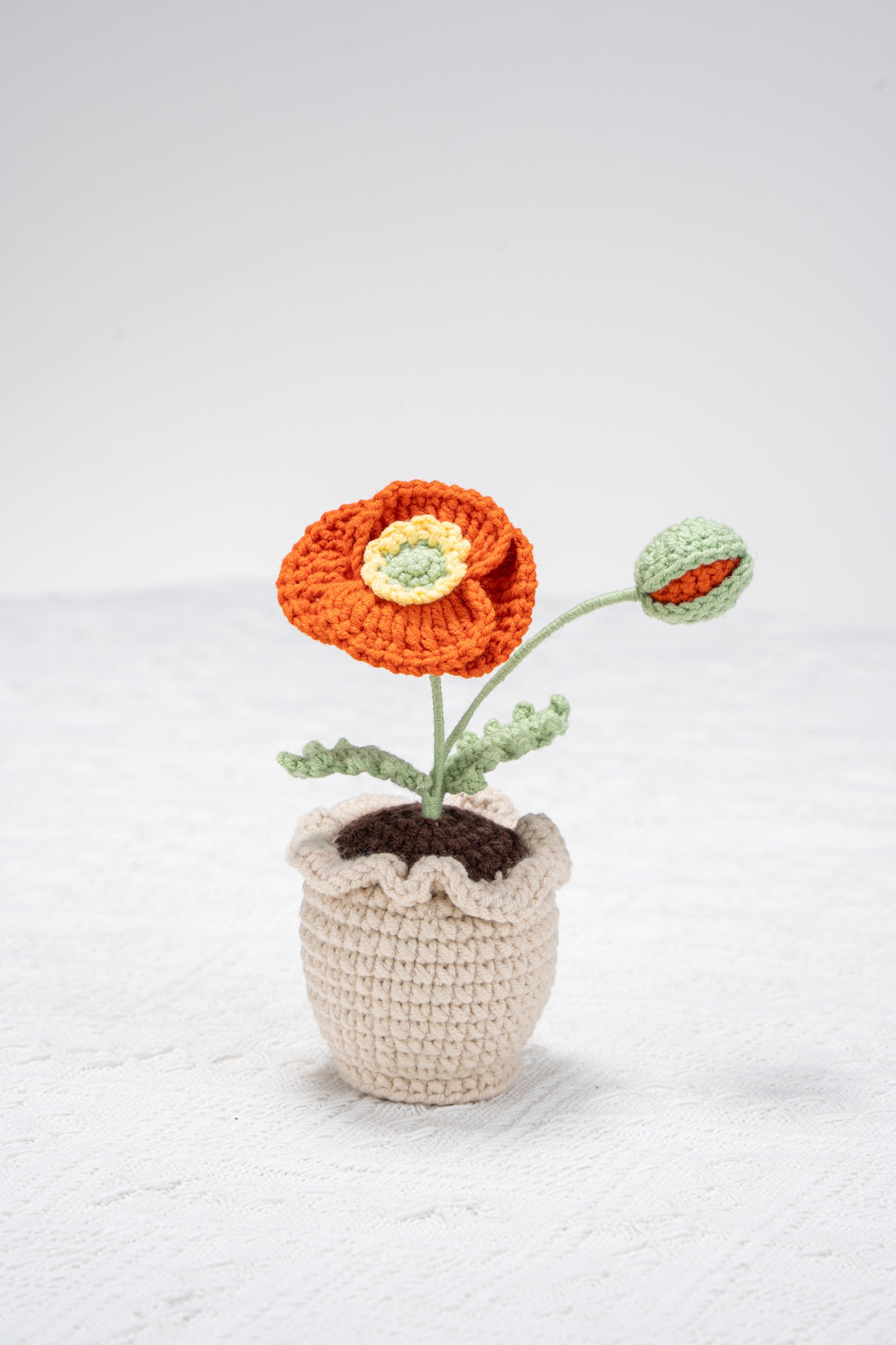 orange poppy