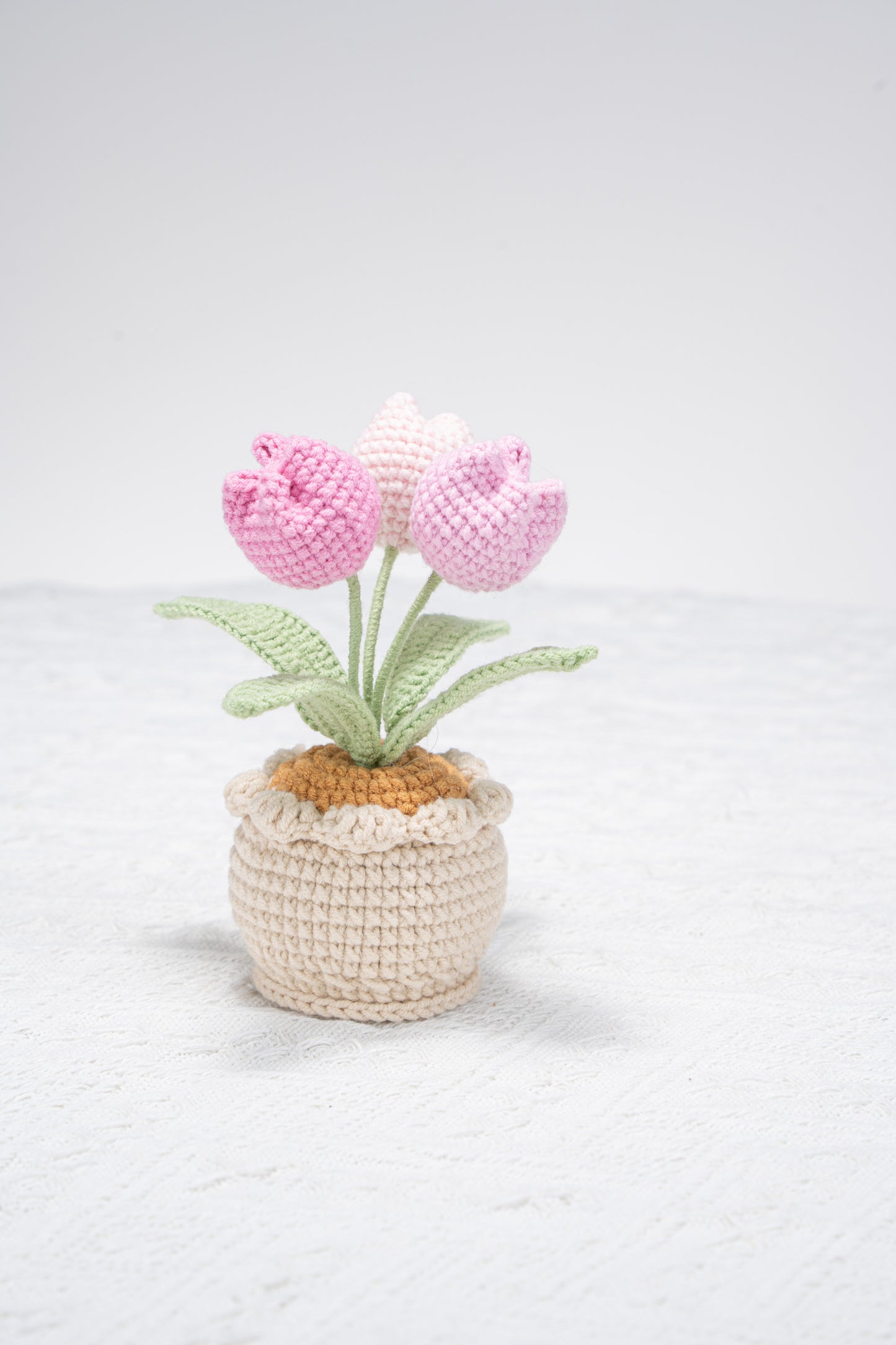 3 head pink tulip
