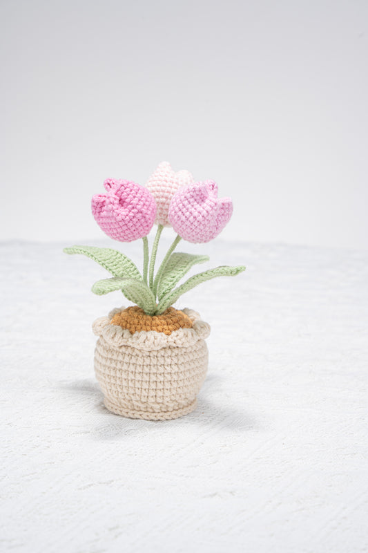 3 head pink tulip