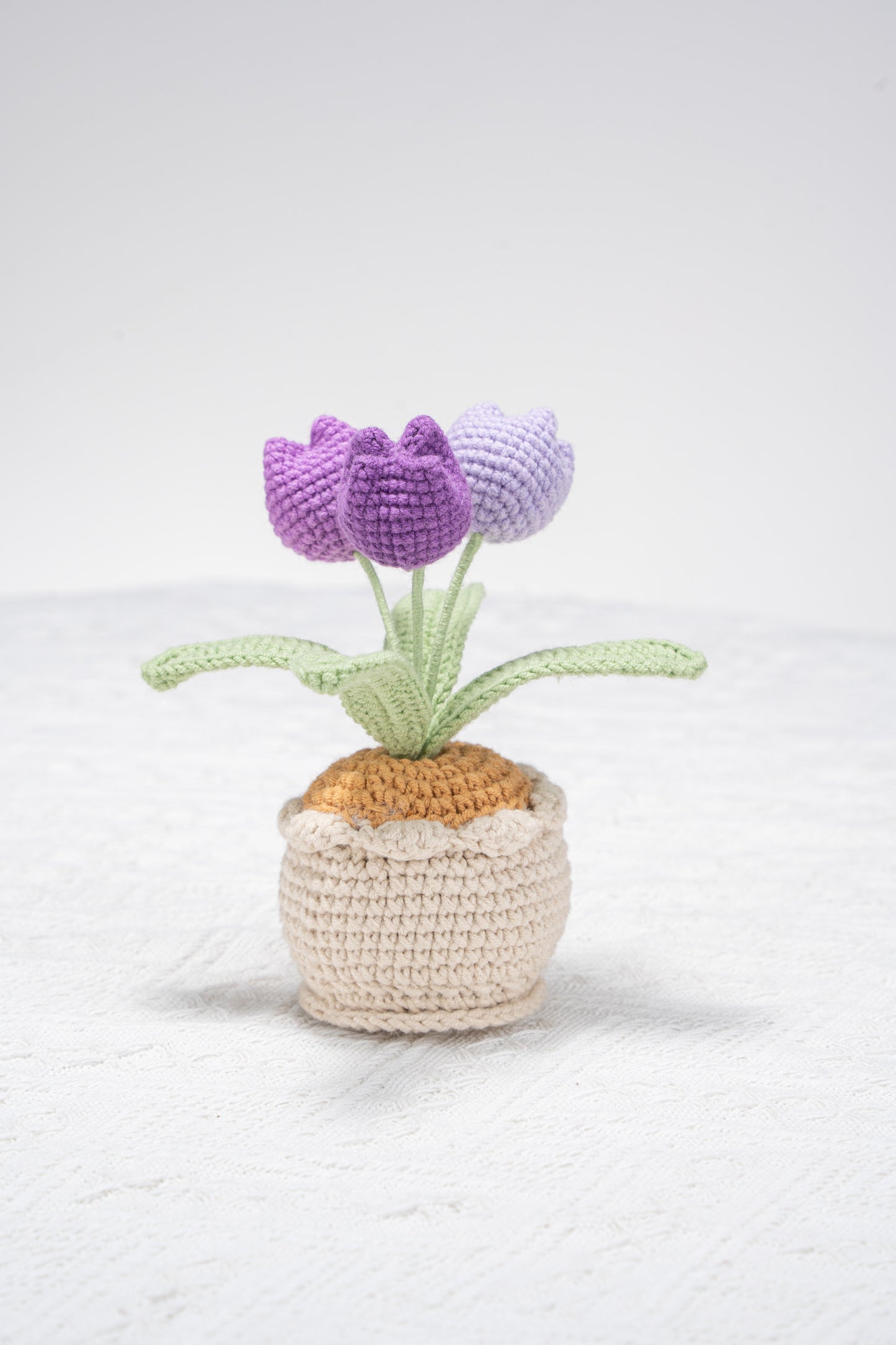3 head purple tulip