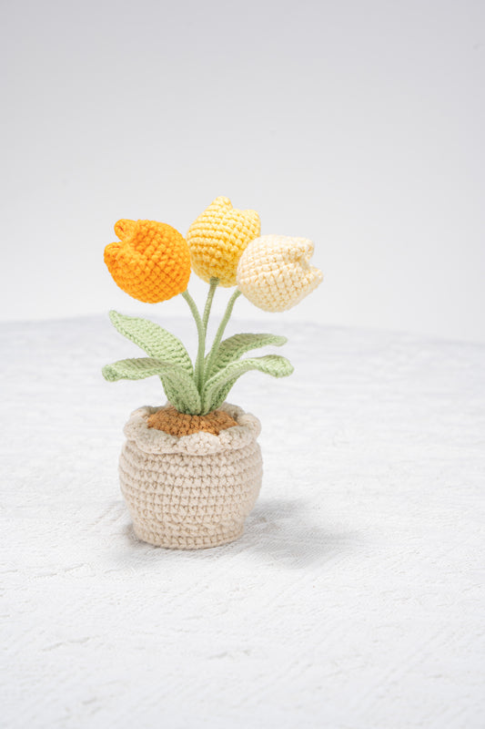 3 head yellow tulip