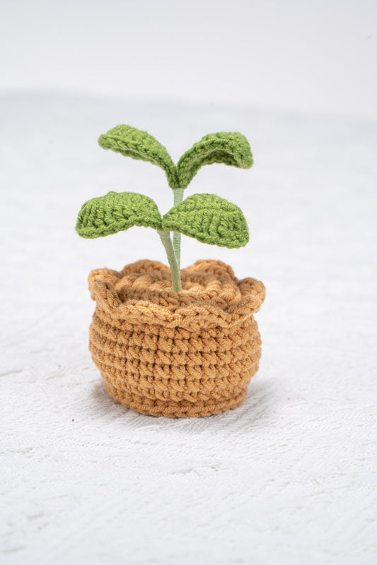 sprout