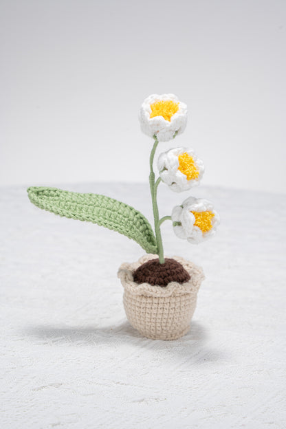 Small Lily of the valley