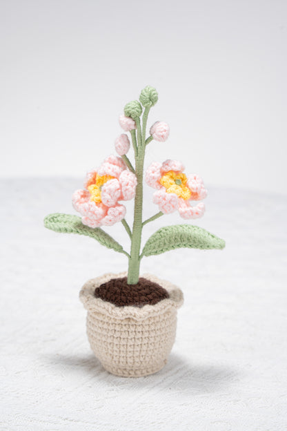 small Larkspur