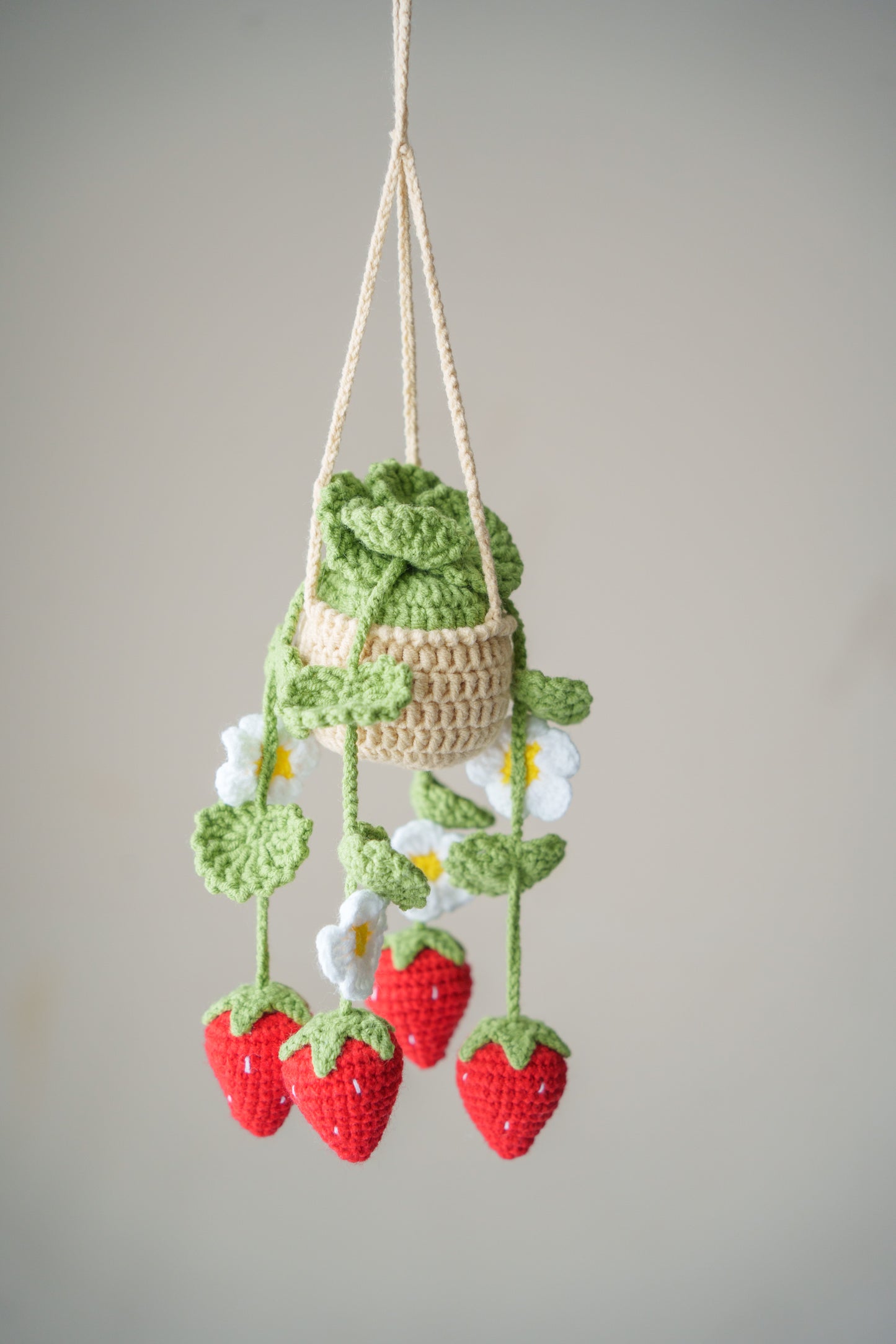 Hanging Strawberry