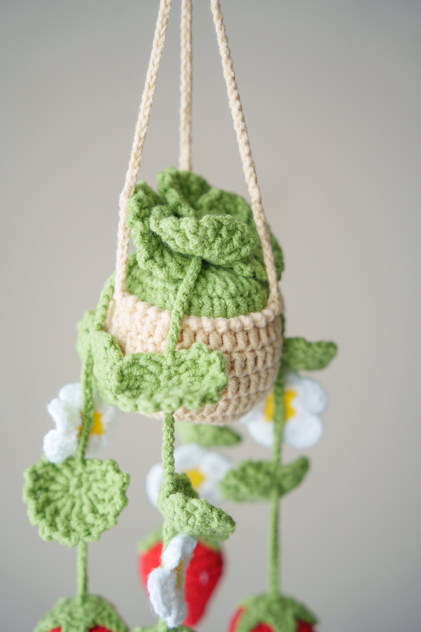 Hanging Strawberry