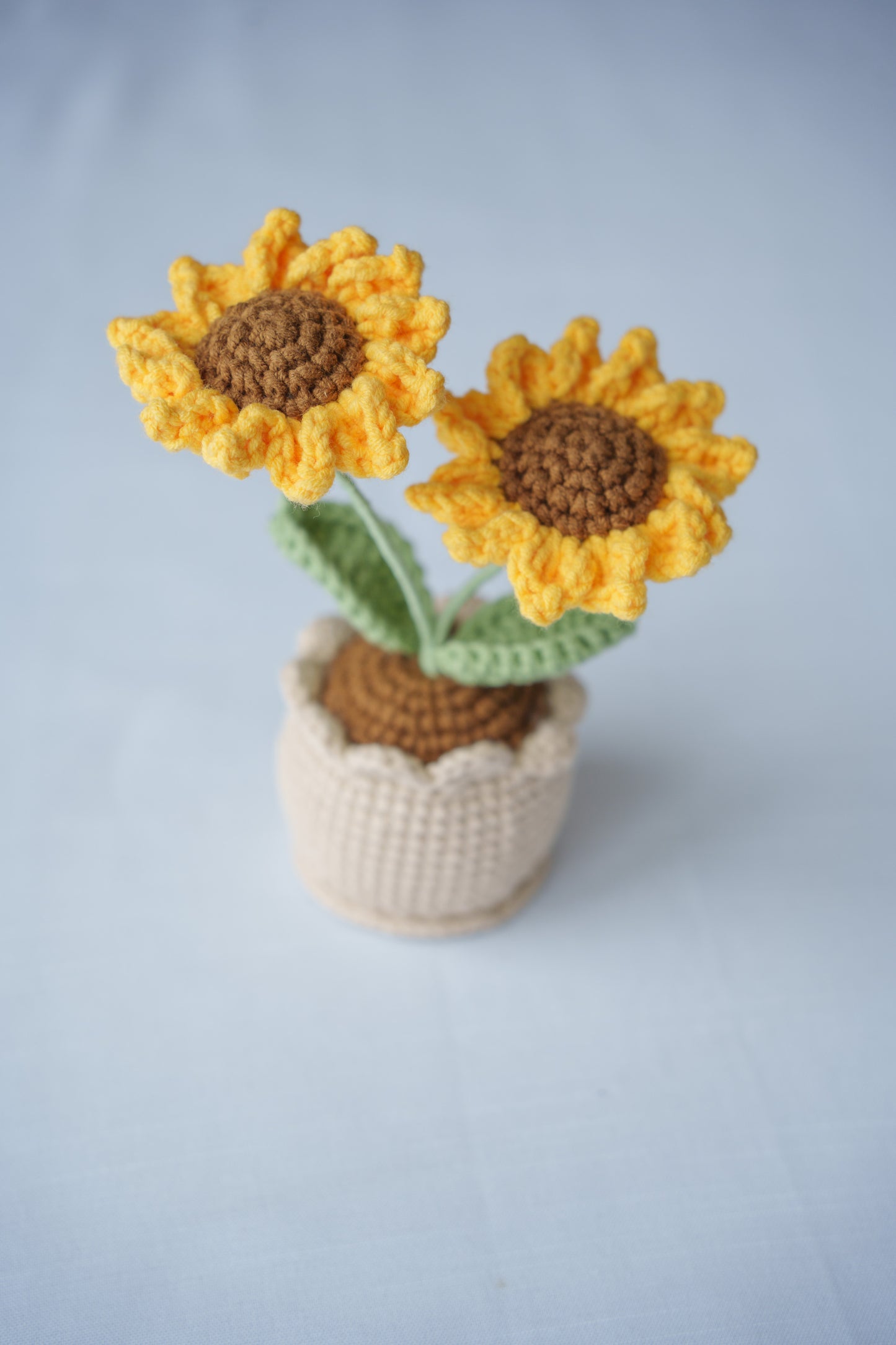 Two-head Sunflower