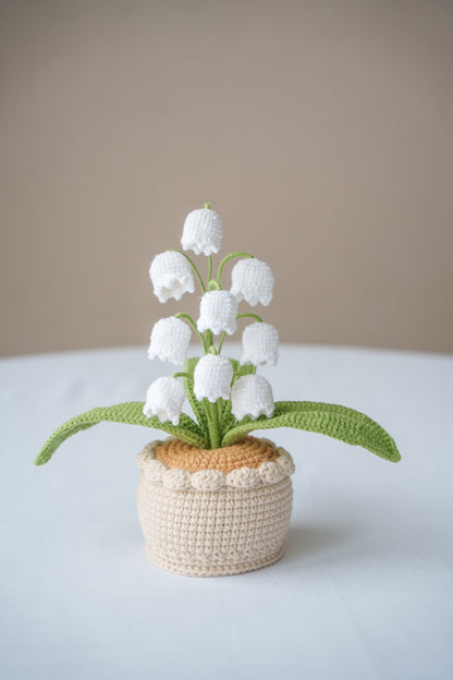 White Lily of The Valley