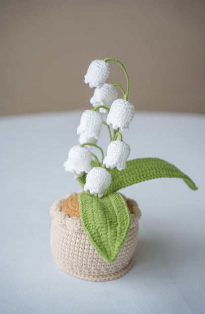 White Lily of The Valley