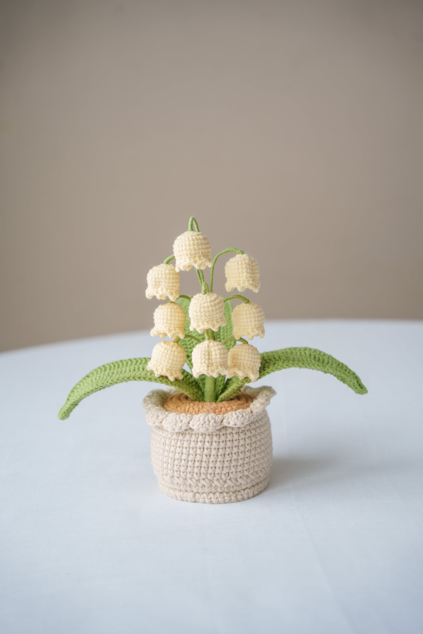 Yellow Lily of The Valley