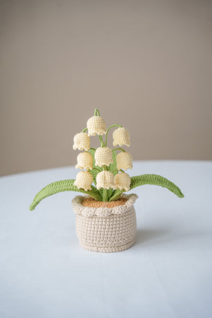 Yellow Lily of The Valley