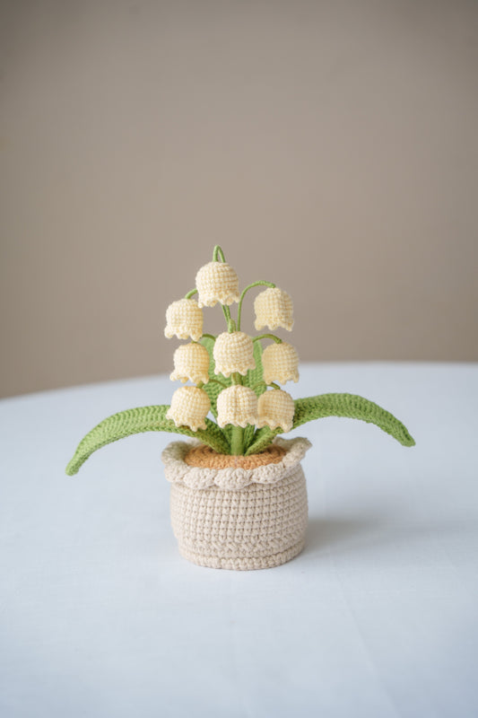 Yellow Lily of The Valley