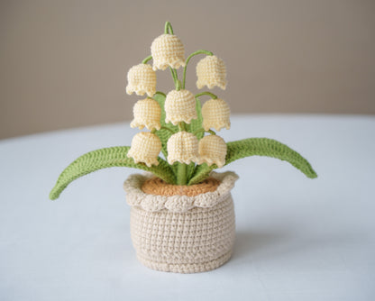 Yellow Lily of The Valley