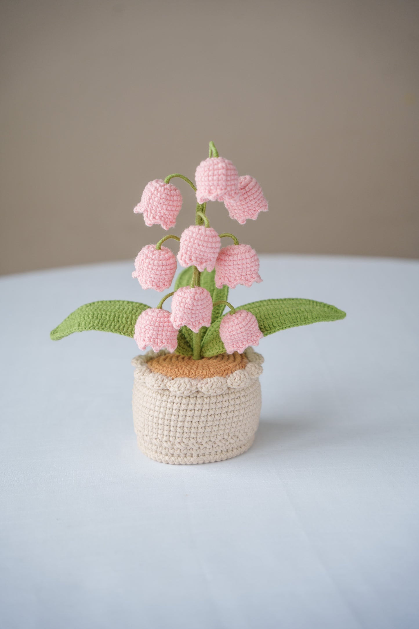 Pink Lily of The Valley