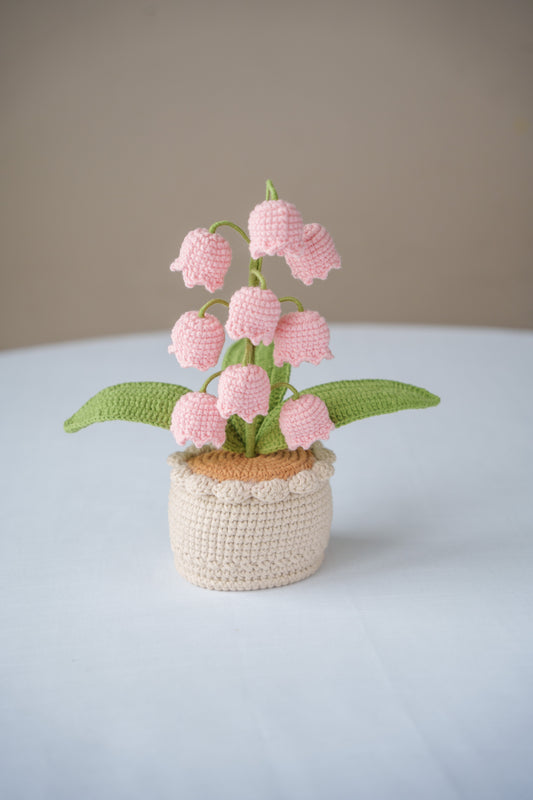 Pink Lily of The Valley