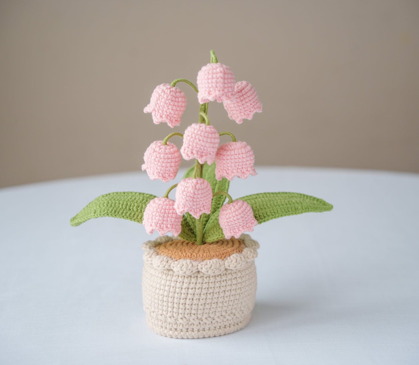 Pink Lily of The Valley