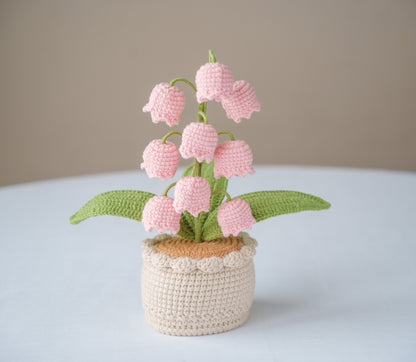 Pink Lily of The Valley