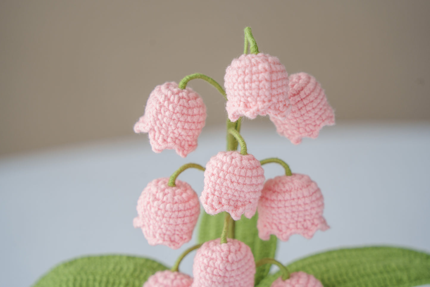 Pink Lily of The Valley