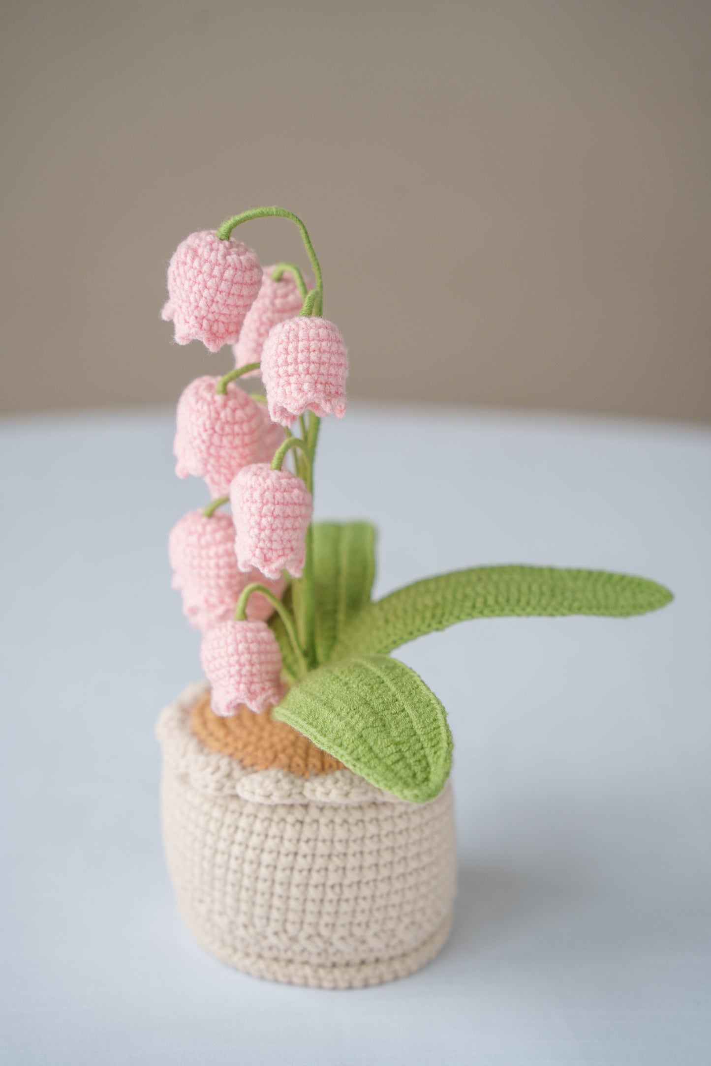Pink Lily of The Valley