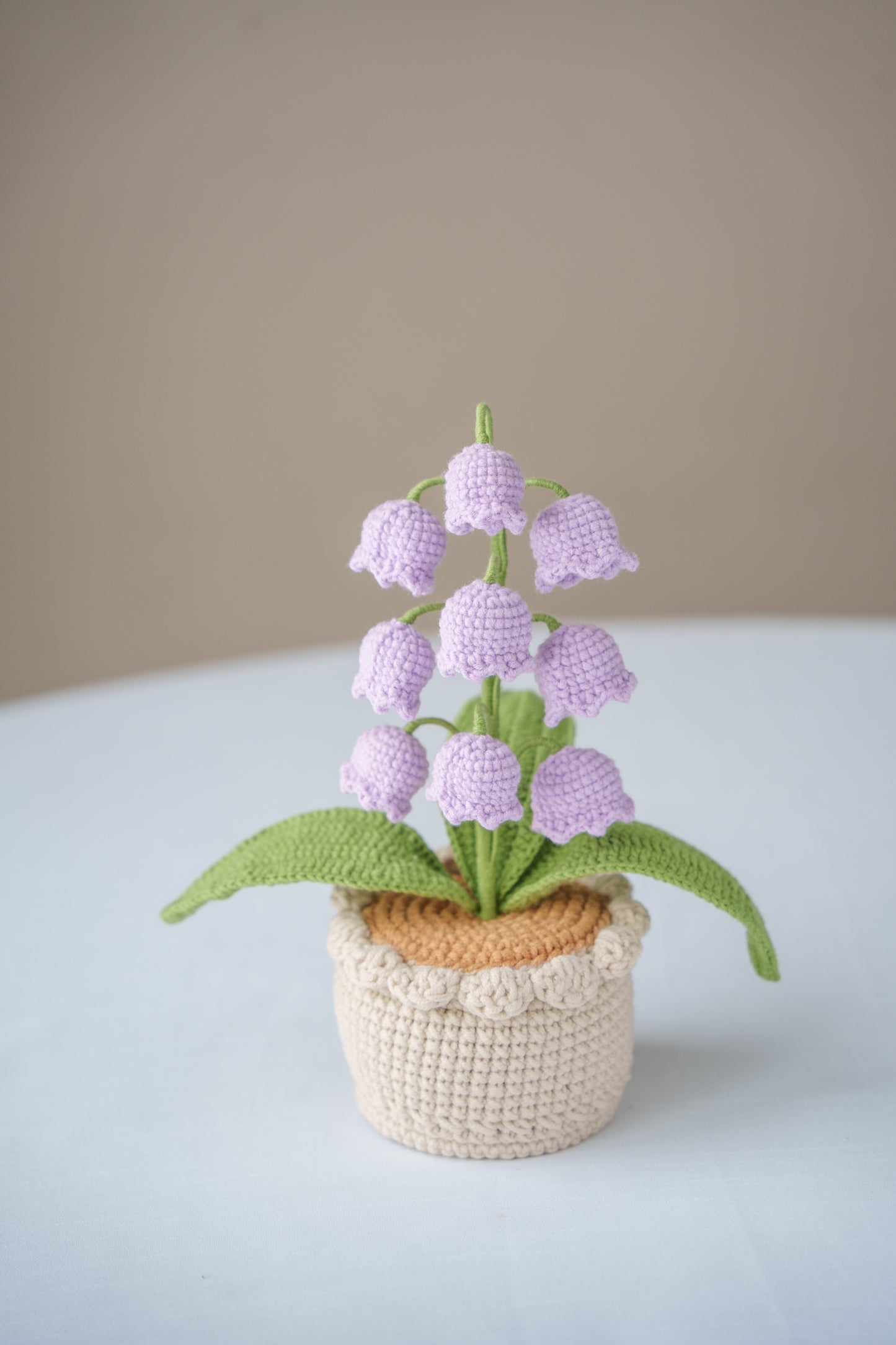 Purple Lily of The Valley