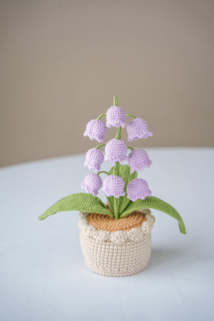 Purple Lily of The Valley