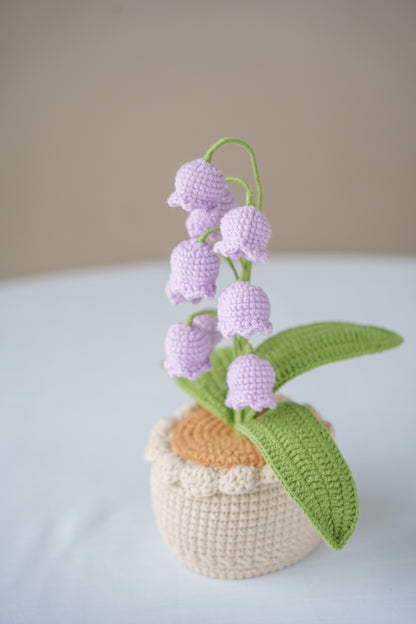 Purple Lily of The Valley