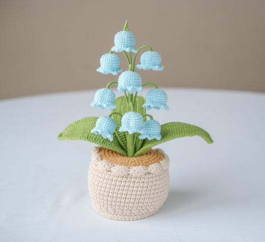 Blue Lily of The Valley