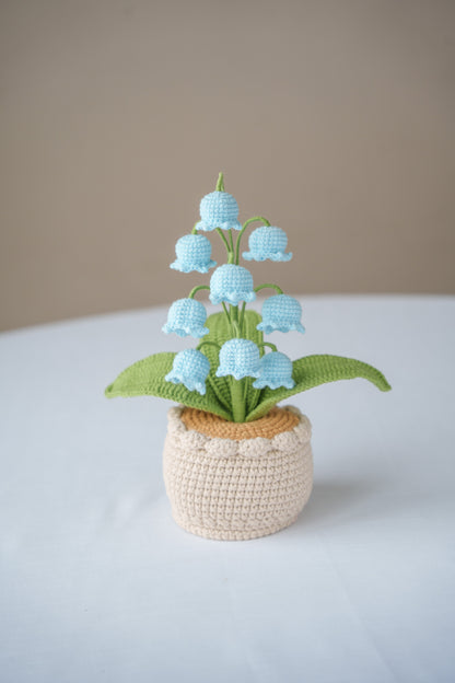 Blue Lily of The Valley