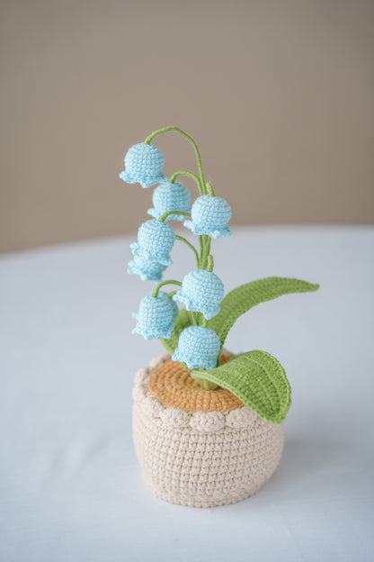 Blue Lily of The Valley