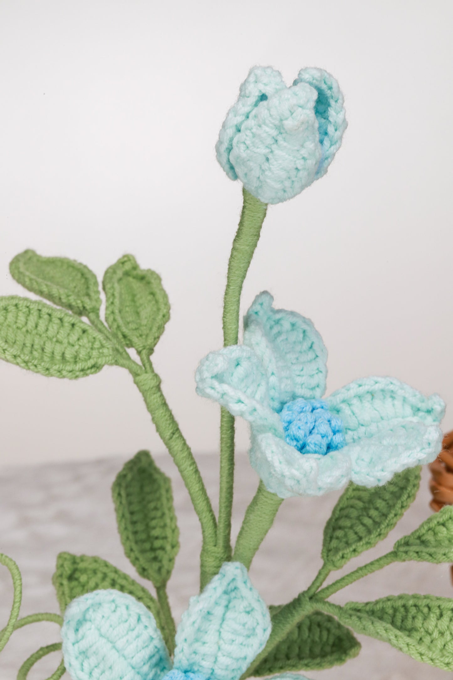 blue clematis