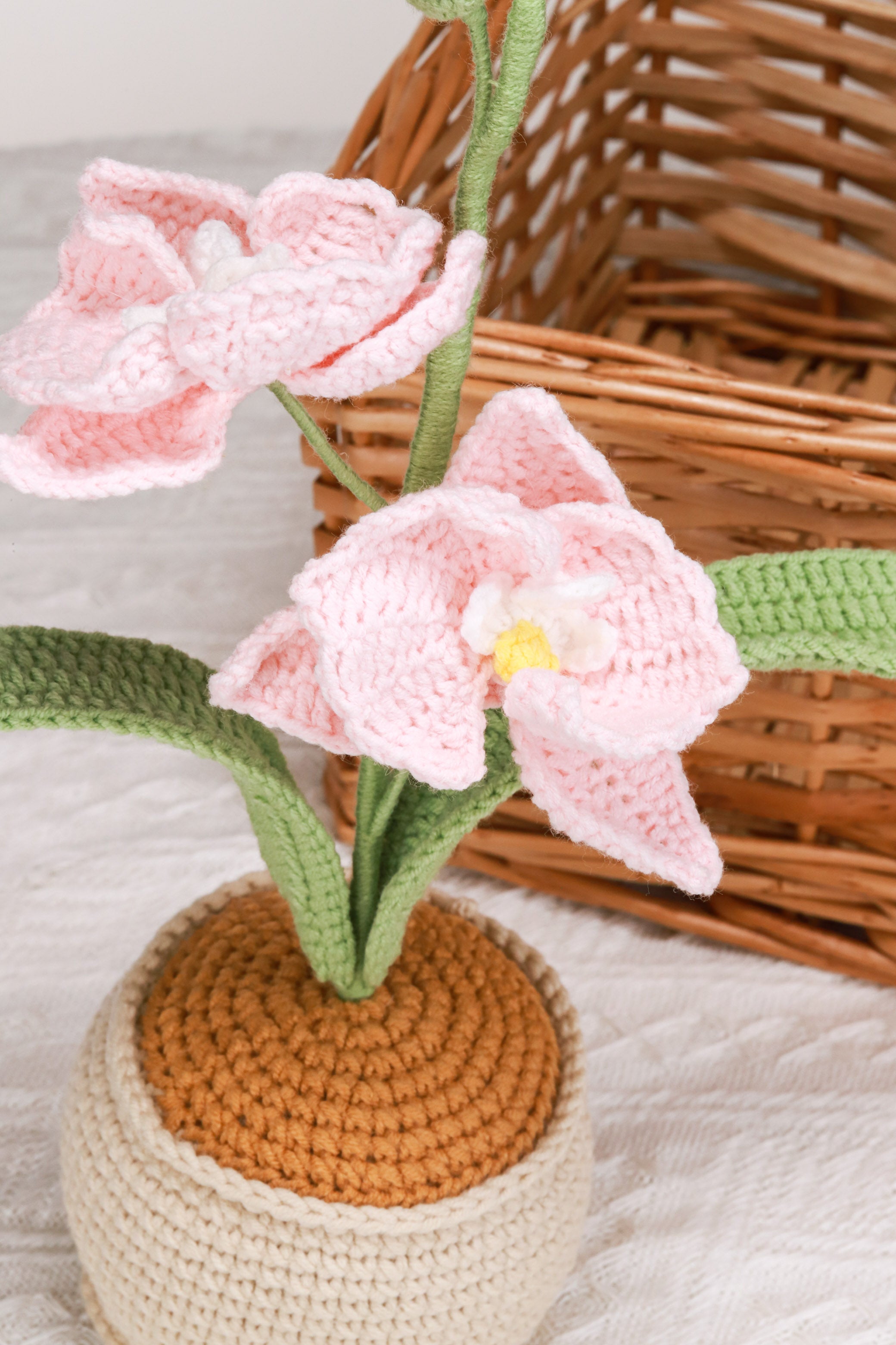 Potted Plants – tagged 