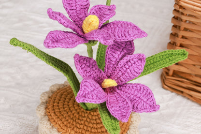 purple orchid