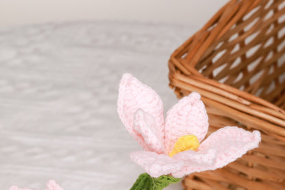 pink orchid