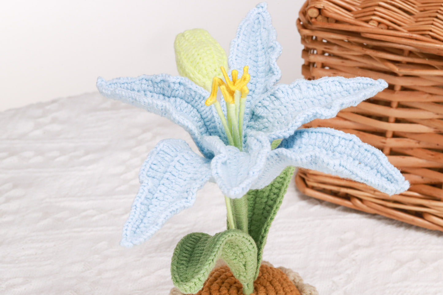 blue lily