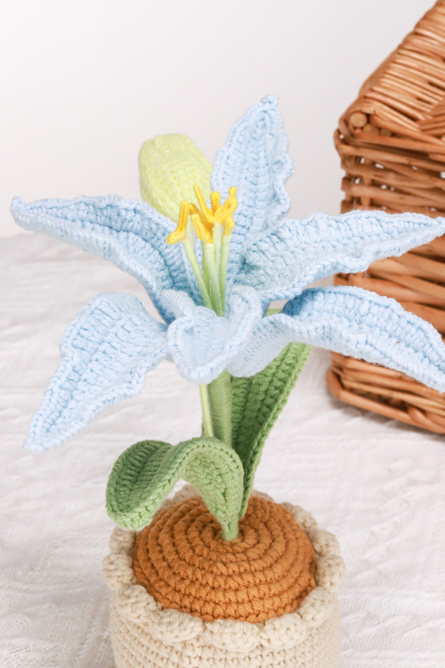 blue lily